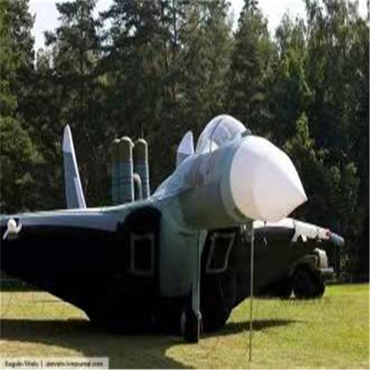 马山充气模型飞机制造商家